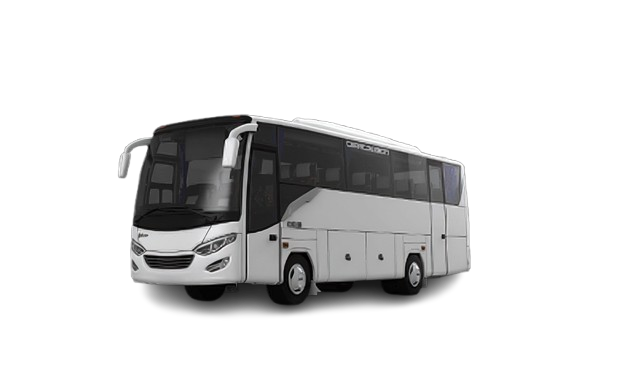 MEDIUM BUS